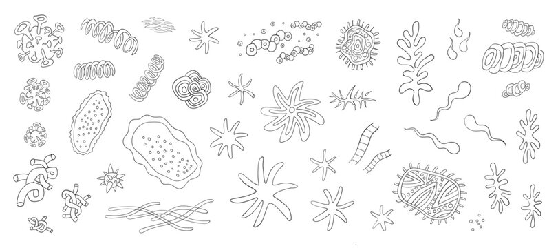 Microbes bacterias virus doodle set ,  vector hand drawn illustration collection
