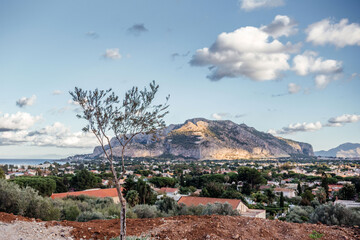 View Of Monte Pellegrino Overlooking Palermo Sicily