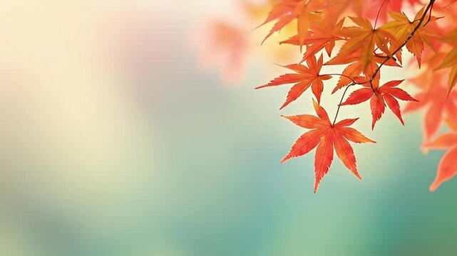 A serene close-up shot captures the vibrant essence of autumn, featuring rich orange and red foliage delicately hanging from a branch. The leaves showcase their distinctive shape and warm hues, standi