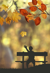 Autumn in the park, autumn tones, leaf fall