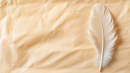 Elegant white feather on crumpled beige paper background with empty space. Natural, minimalist decor