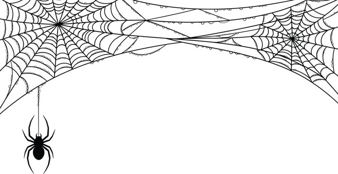 Collection of halloween icons featuring witches pumpkins ghosts bats spiders and haunted houses