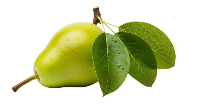 A vibrant green pear with dew drops, accented by lush leaves, isolated against a stark transparent background and fresh.