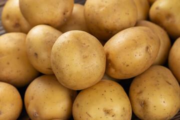 The new harvest white potato sold at the local city farmers market