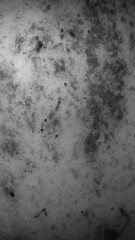 black apple skin with visible gray details