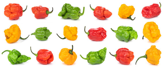 Set oe collection with different chili peppers on white background