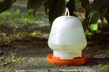 Automatic chicken feeder on the ground in a rural setting.