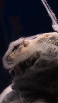 Self-isolation. Scared suffering woman tangled in huge trapped in creepy cobwebs. Fear anxiety and Abuse