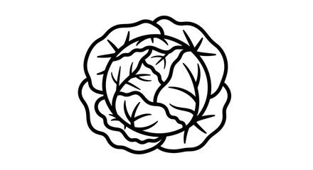 A black and white graphic illustration of a cabbage head with detailed leaf outlines.