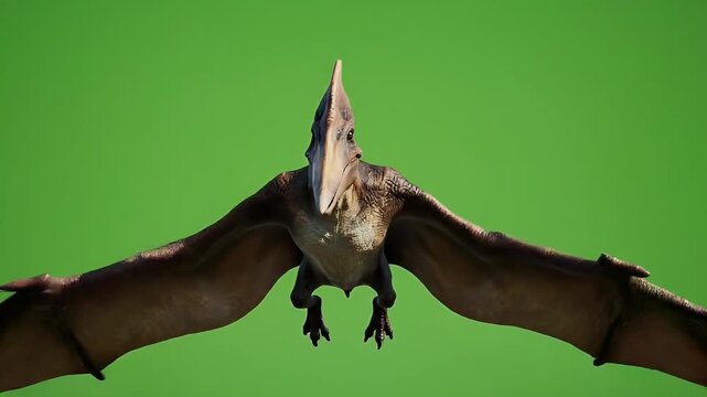 Flying pterosaur dinosaur against green background