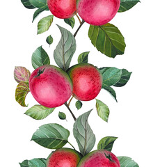 Seamless border with ripe red apples and leaves. Watercolor illustration.