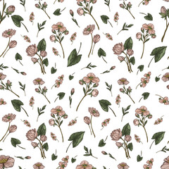Fototapeta premium A seamless vector pattern with hand-drawn pink lotus flower and pastel background. This artistic design is perfect for textile, stationery, wallpaper, and other creative projects