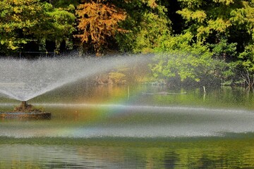 池の噴水に現れた虹　埼玉県別所沼公園