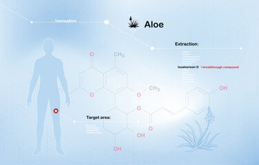 Scientific infographic illustrating the extraction and therapeutic potential of Aloe vera 
