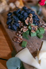 alimento, delicioso, aperitivo, alimento, mesa, fresco, sabroso, frio, salado, macro, quesos, nueces, cocina, exquisito, comida, delicioso, picada, casero, apetitoso