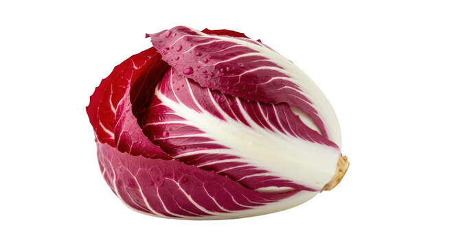 Vibrant red radicchio head fresh healthy leafy vegetable closeup macro shot isolated on transparent background
