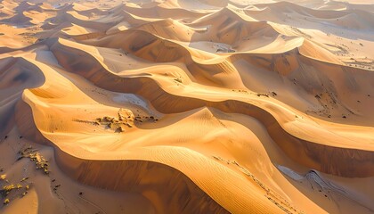 Golden Desert Dunes, Expansive Sand Landscape with Natural Wind Patterns
