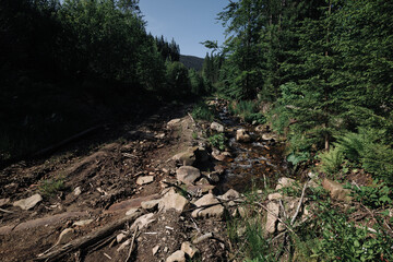 A small stream flows through a rocky landscape. Trees line the banks. The scene is set in a mountain forest on a sunny day with a clear blue sky above.