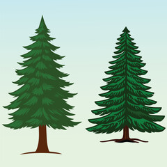 Realistic Christmas Tree Vector Illustration