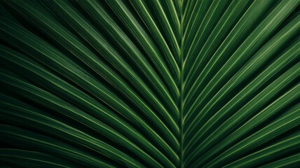Obraz premium Radiant green palm leaf with vivid veins. AI image