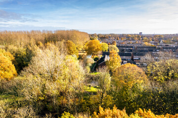 Fototapeta premium Autumn landscape featuring colorful trees and neighborhood view in a tranquil setting during daytime