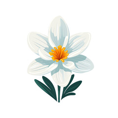 A delicate white flower with intricate petals and a vibrant orange center, ideal for nature-inspired designs.
