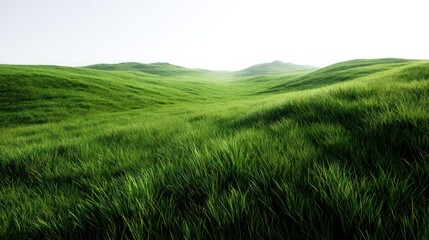 Fototapeta premium Lush green hills undulating under a bright, hazy sky