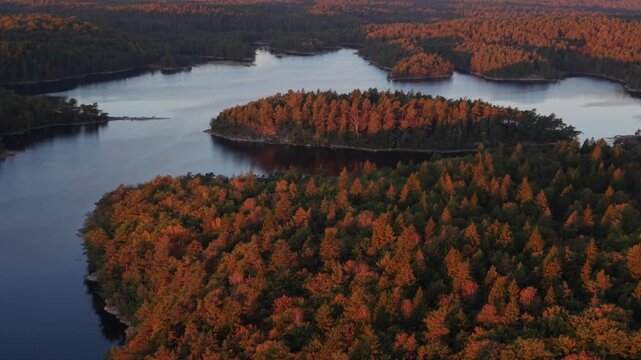 Beautiful sunrise over a still lake illuminating the colorful forest near Gothenburg, Sweden