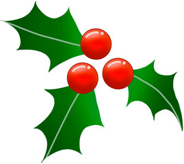 holly leaves and berries