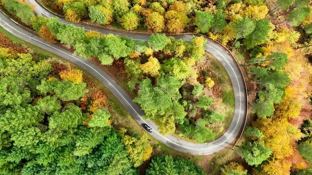 Aerial view of a winding road curves through a forest, showcasing vibrant autumn colors and a lone car making its way, Manteigas, Serra de Estrela, Portugal.
