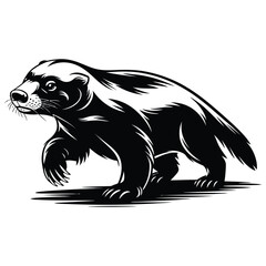 vector illustration of a bear