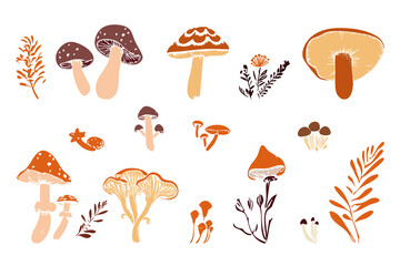 Hand drawn vector set autumn mushrooms elements. Vector illustration
