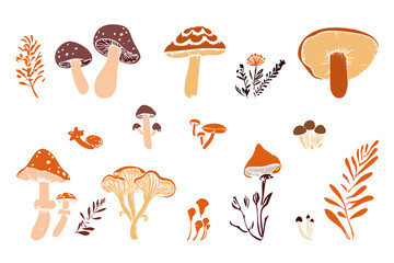 Hand drawn vector set autumn mushrooms elements
