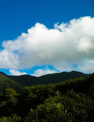 Mountain top on Sao Miguel Island. Azores.
