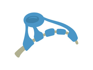 Oligodendrocytes Glial Cell