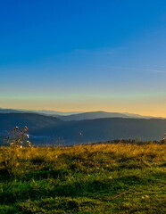 Meadow on a Blotnia Mountain. Beskides.