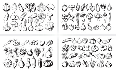 vegetables doodle illustration, fresh veggies vector, hand drawn fruits sketch, organic food design, healthy vegetables art, garden harvest illustration, nutrition food vector, natural farming doodle,