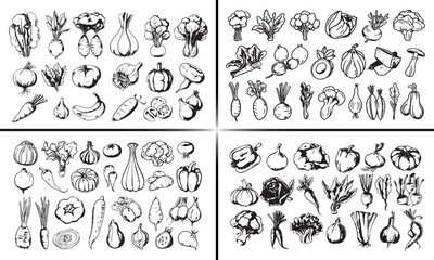 vegetables doodle illustration, fresh veggies vector, hand drawn fruits sketch, organic food design, healthy vegetables art, garden harvest illustration, nutrition food vector, natural farming doodle,