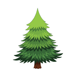 A vibrant cartoon illustration of a tall lush green pine tree with a brown trunk