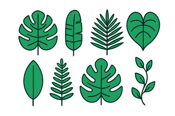 Fototapeta premium Collection of diverse tropical foliage elements including palm, monstera, and banana leaves