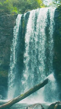 Hopetoun Falls in Otway National Park, Victoria, Australia