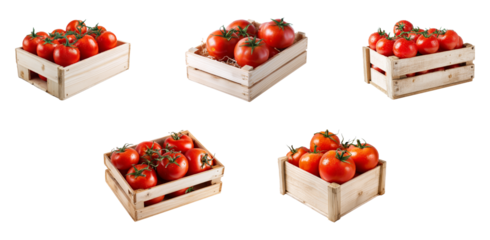 collection of wooden box with tomatoes isolated.