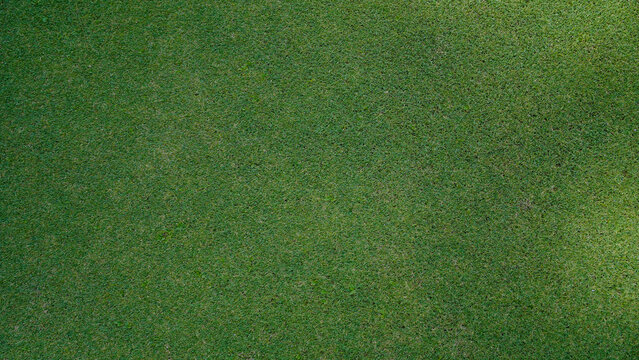 Green grass background, top view background of garden bright grass concept used for making green backdrop, lawn for sports field.