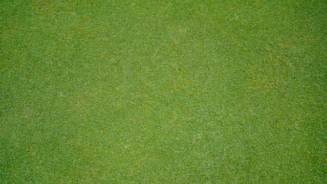 Green grass background, top view background of garden bright grass concept used for making green backdrop, lawn for sports field.