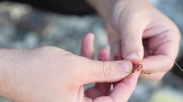 Detailed Macro Shot of Man&rsquo;s Hands Threading Worm on Hook Before Fishing