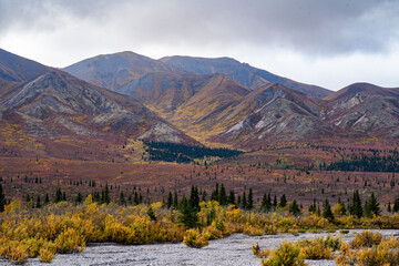 Fall Colors Alaska  