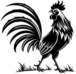 Rooster on Grass – Black and White Farm Animal Vector