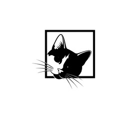 Black cat silhouette peekaboo graphic illustration isolated