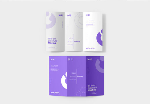 Trifold Brochure Mockup Layout