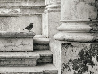 A small bird sits poised on a weathered stone balustrade, overlooking a series of ancient steps and massive classical columns, presented in a gritty black and white render.